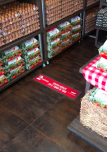 señalización de seguridad